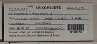 Image Associated With the Occurence